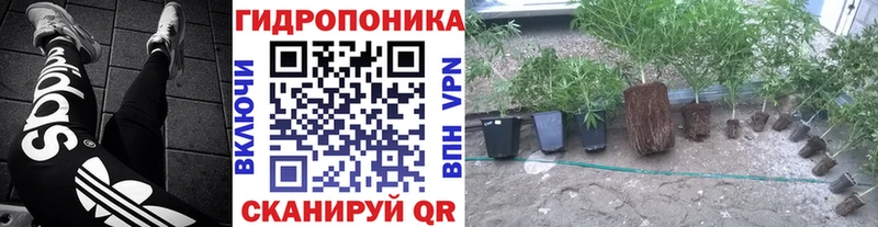 Купить где  Зубцов  Марихуана планчик 